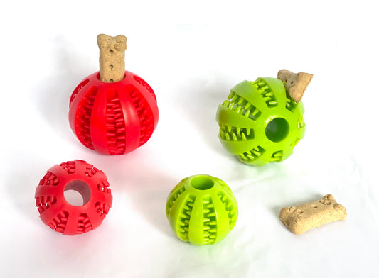Exercise & Enrichment Ball
