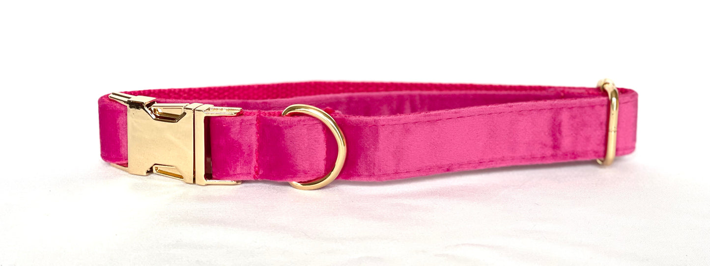 Furry & Refined - Velvet Collection