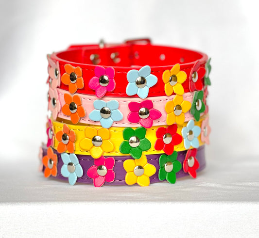 The Bloom Collection