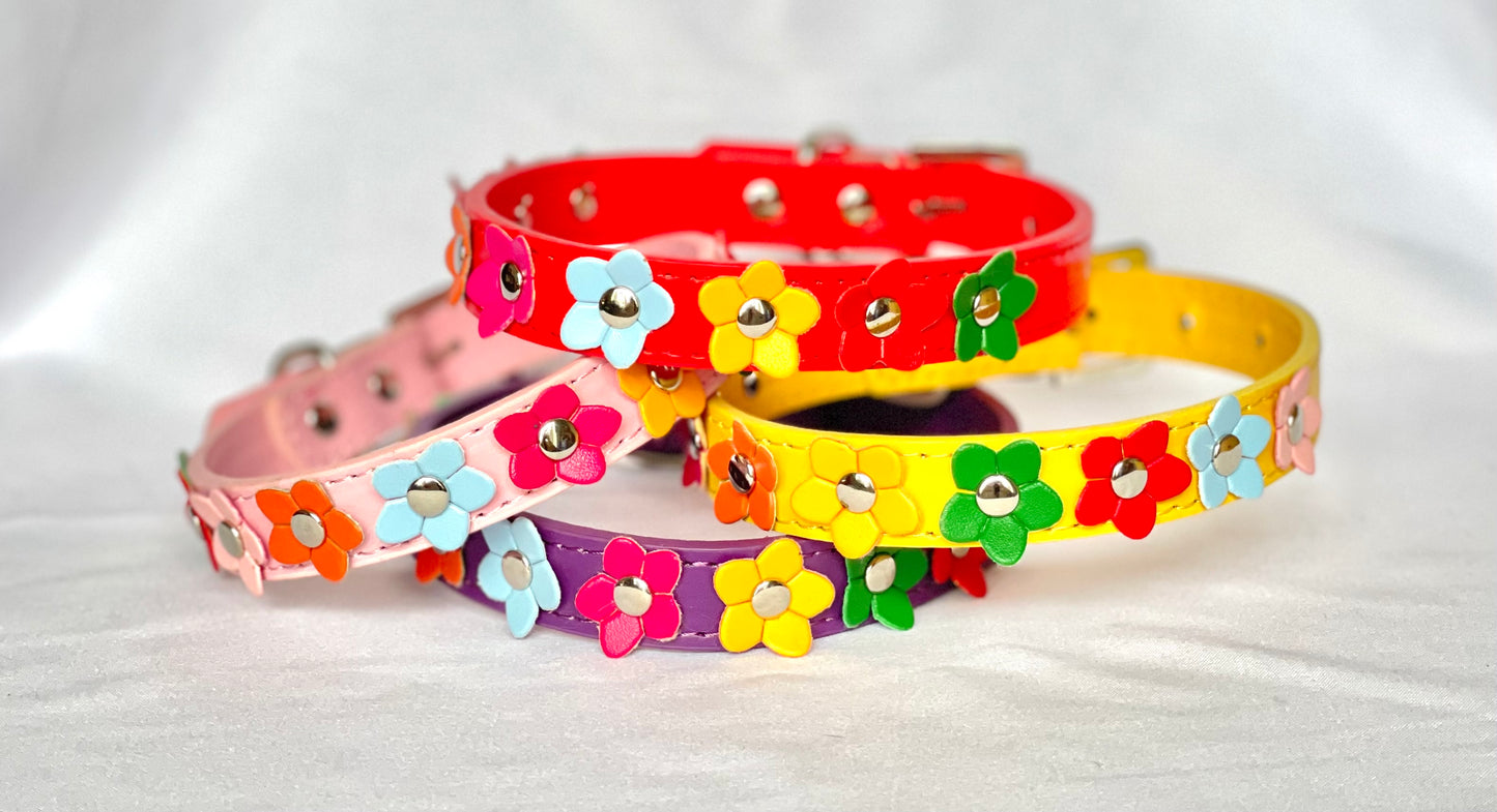 The Bloom Collection