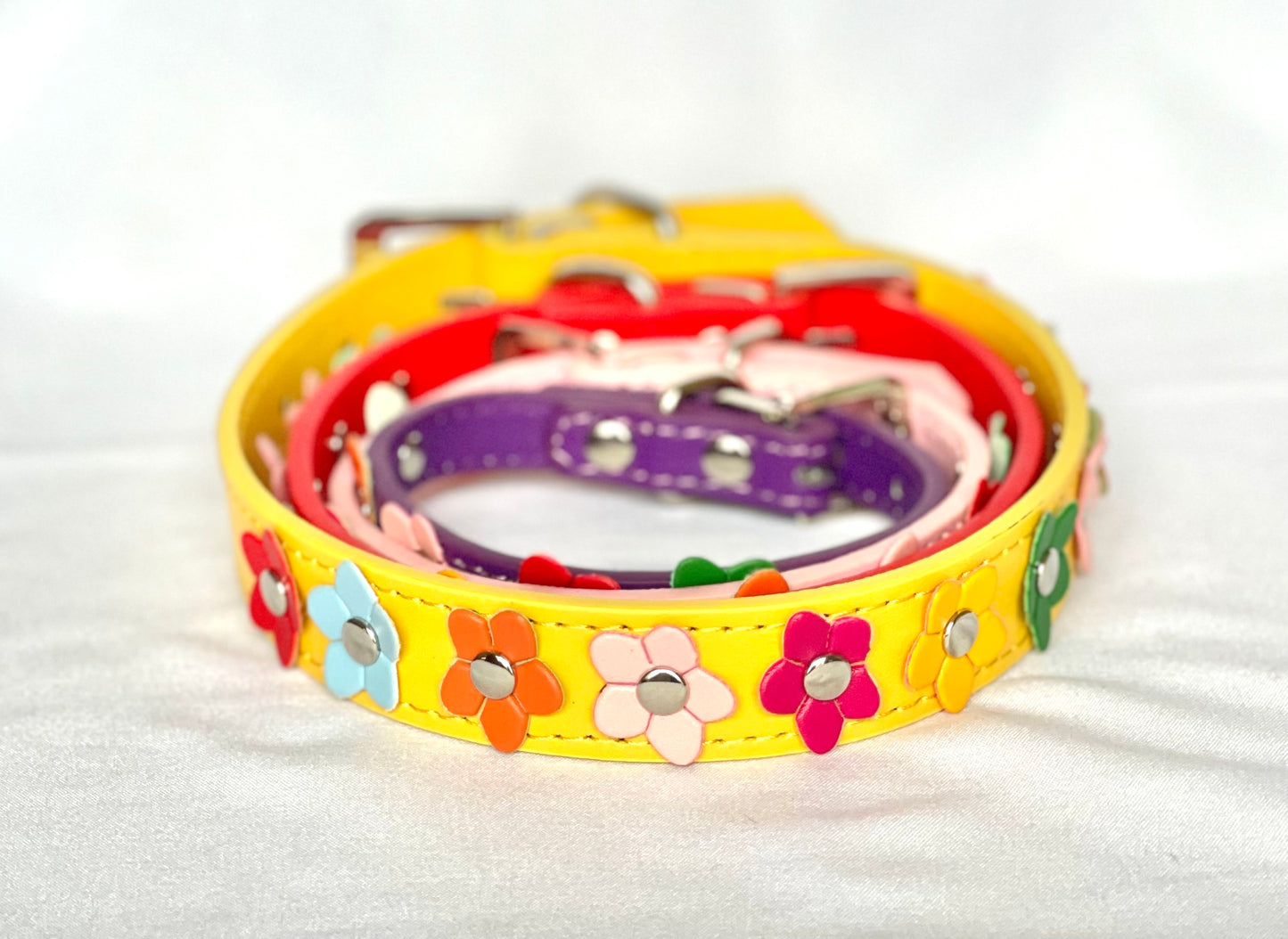 The Bloom Collection