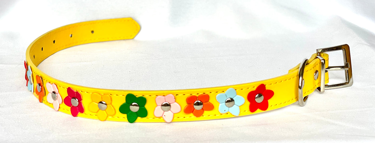 The Bloom Collection