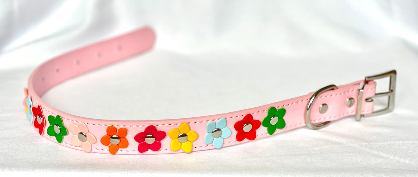 The Bloom Collection