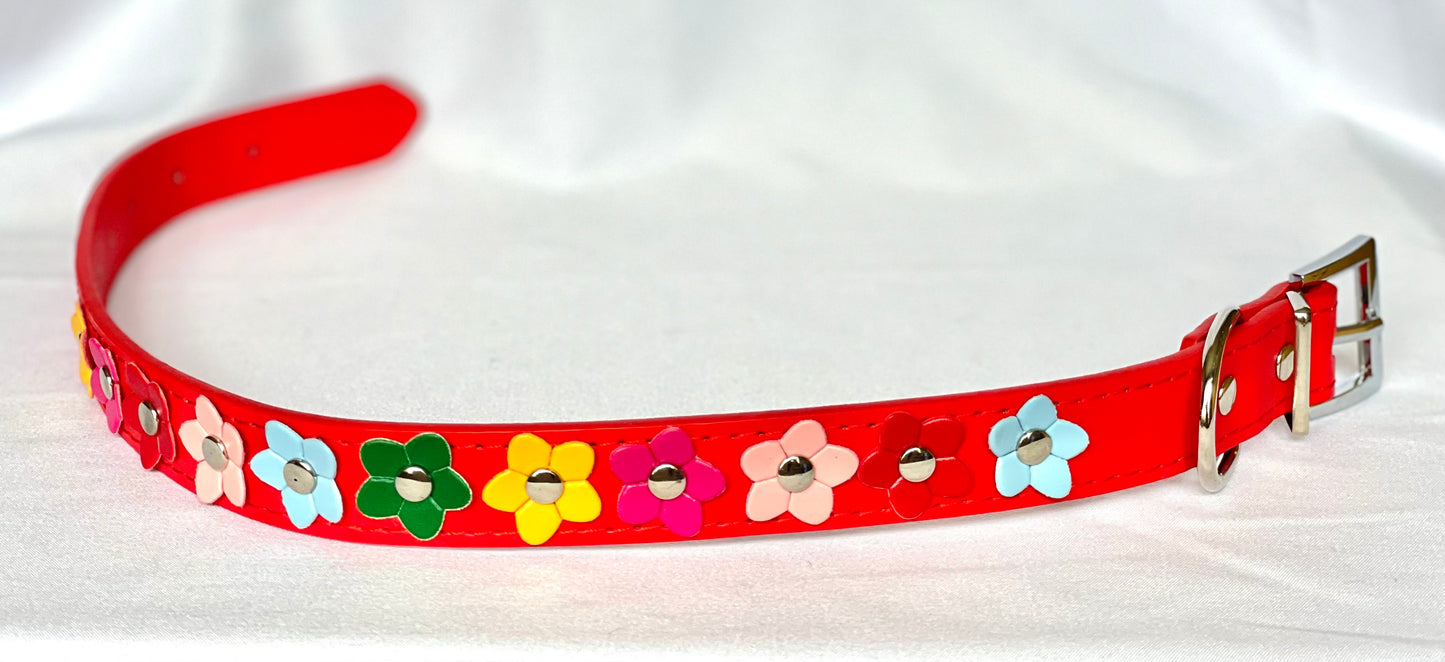 The Bloom Collection
