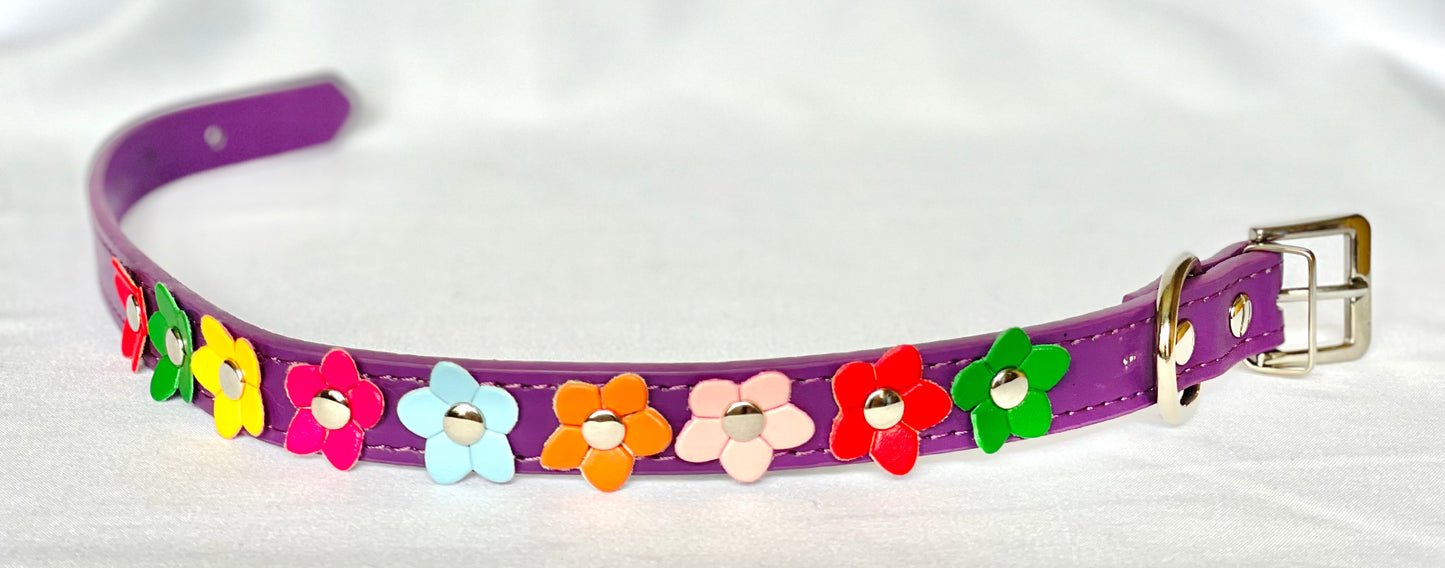 The Bloom Collection