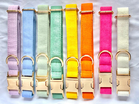 Rainbow Breeze - Corduroy Collection