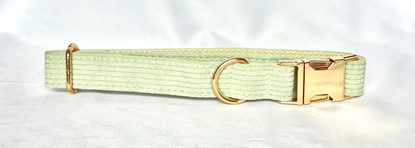 Rainbow Breeze - Corduroy Collection