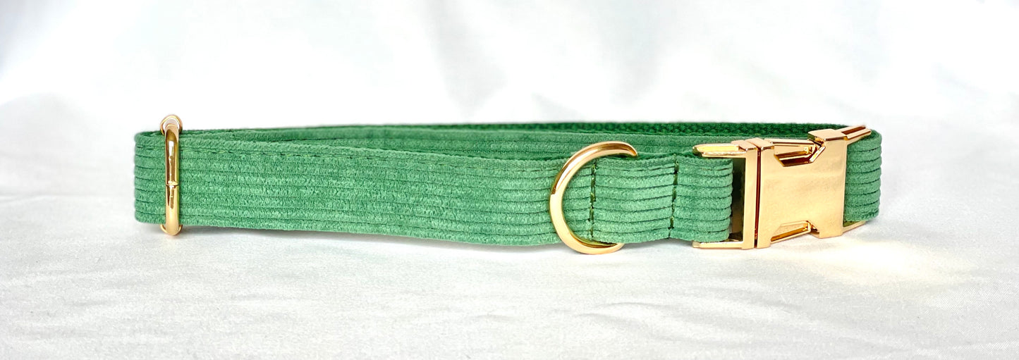 Rainbow Breeze - Corduroy Collection