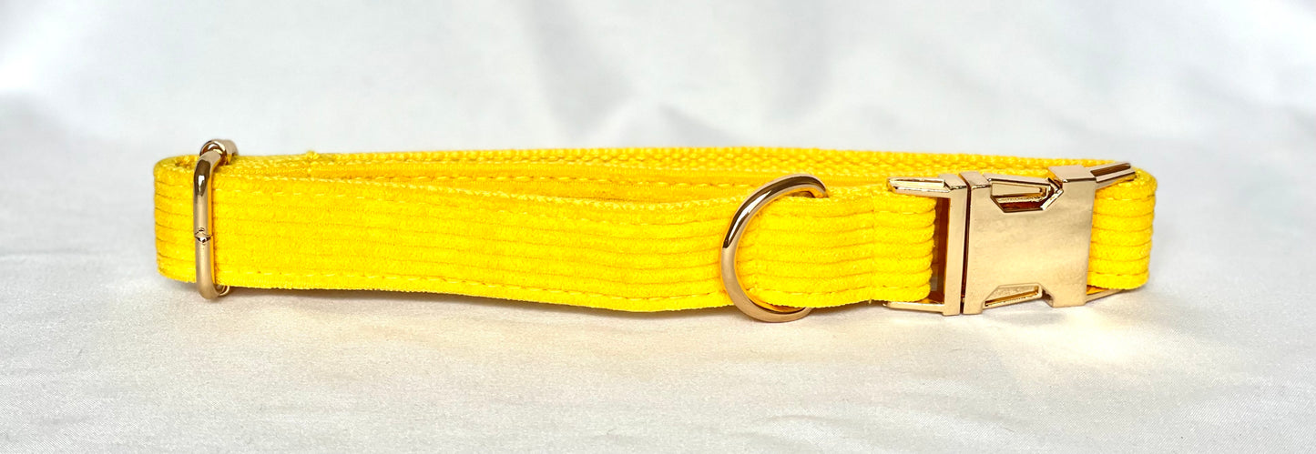 Rainbow Breeze - Corduroy Collection