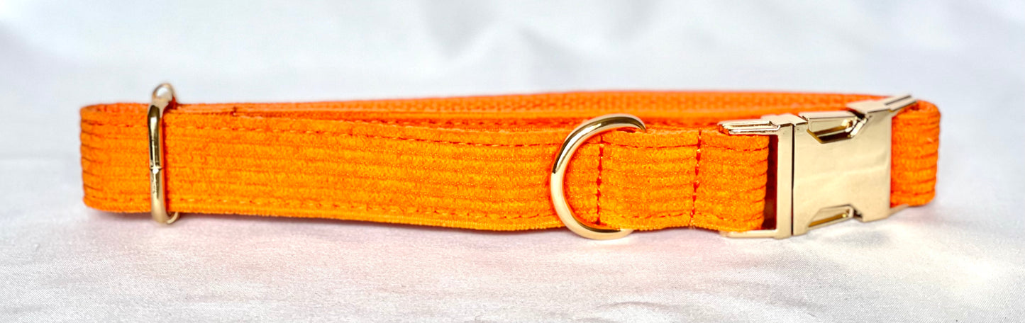 Rainbow Breeze - Corduroy Collection