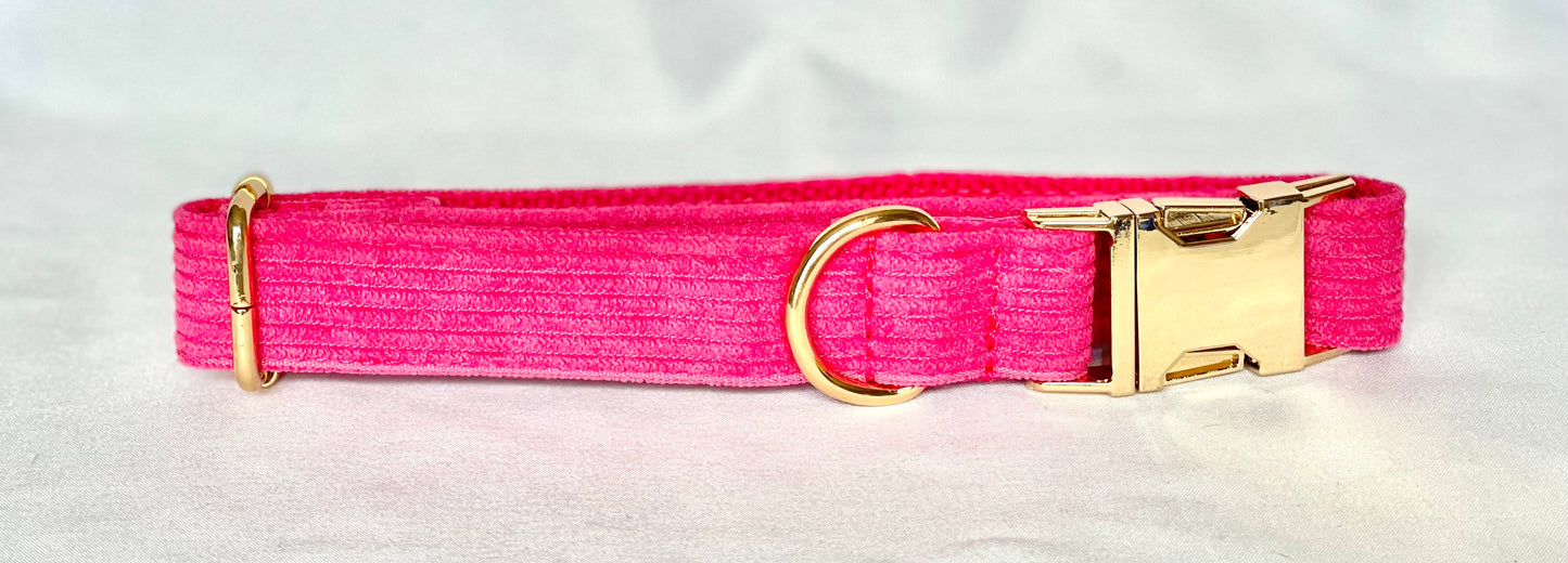 Rainbow Breeze - Corduroy Collection