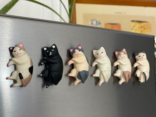 Cat Nap Magnets