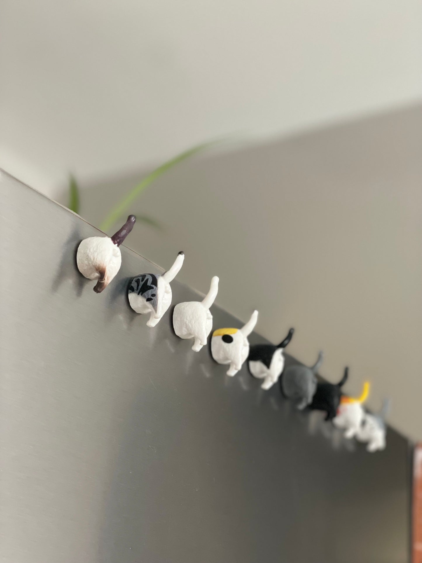 Kitty Butt Magnets