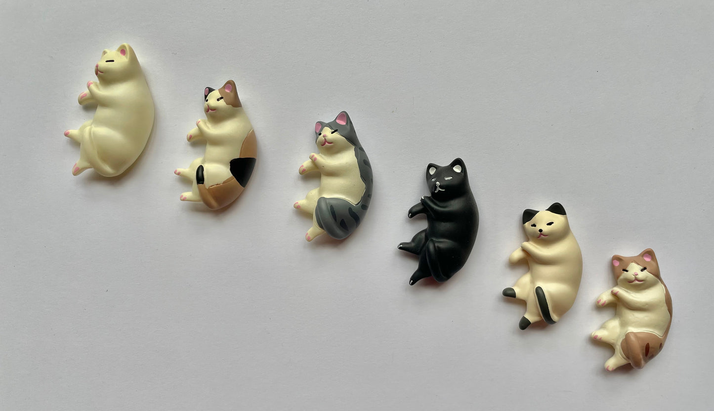 Cat Nap Magnets