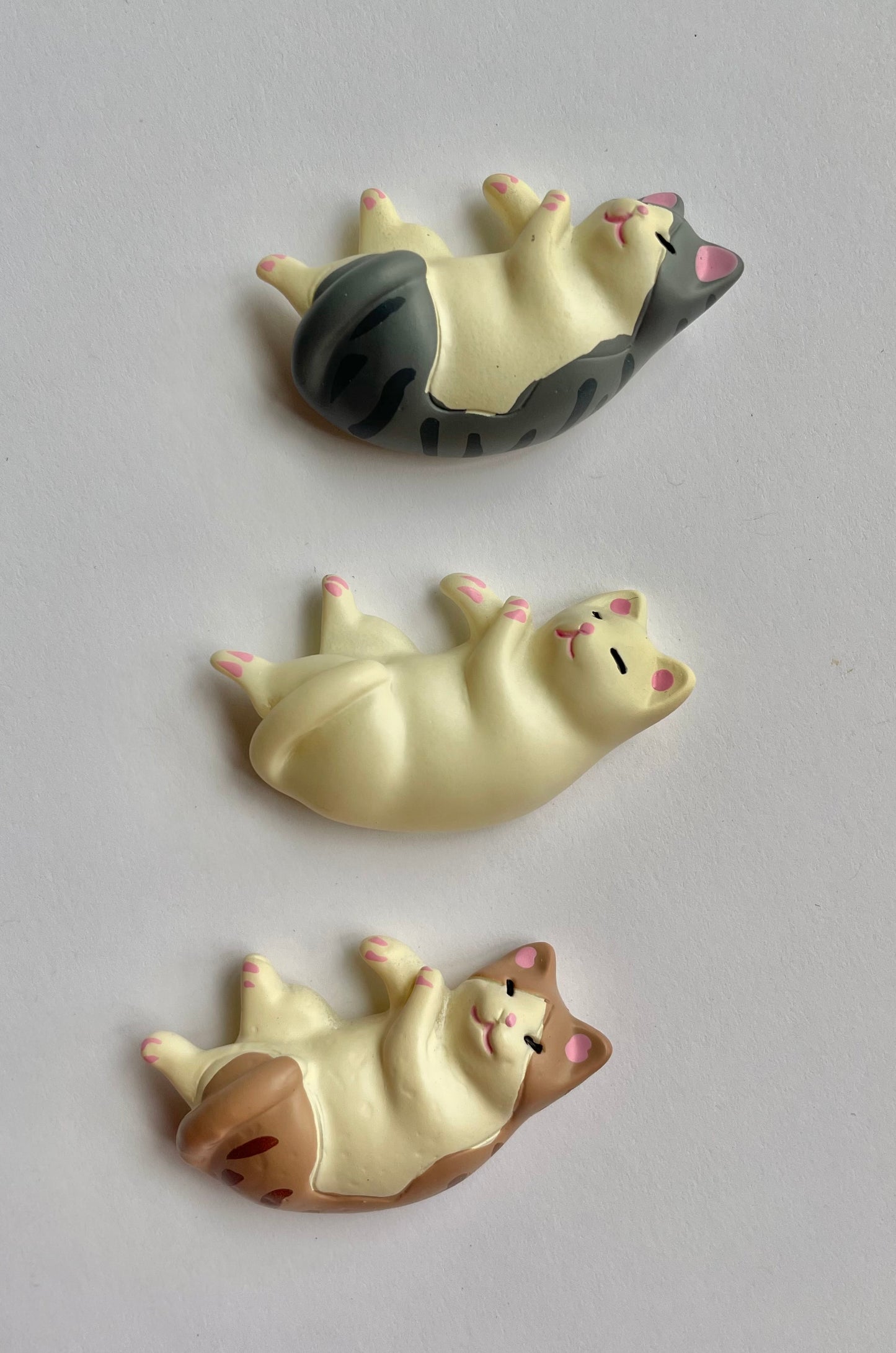 Cat Nap Magnets