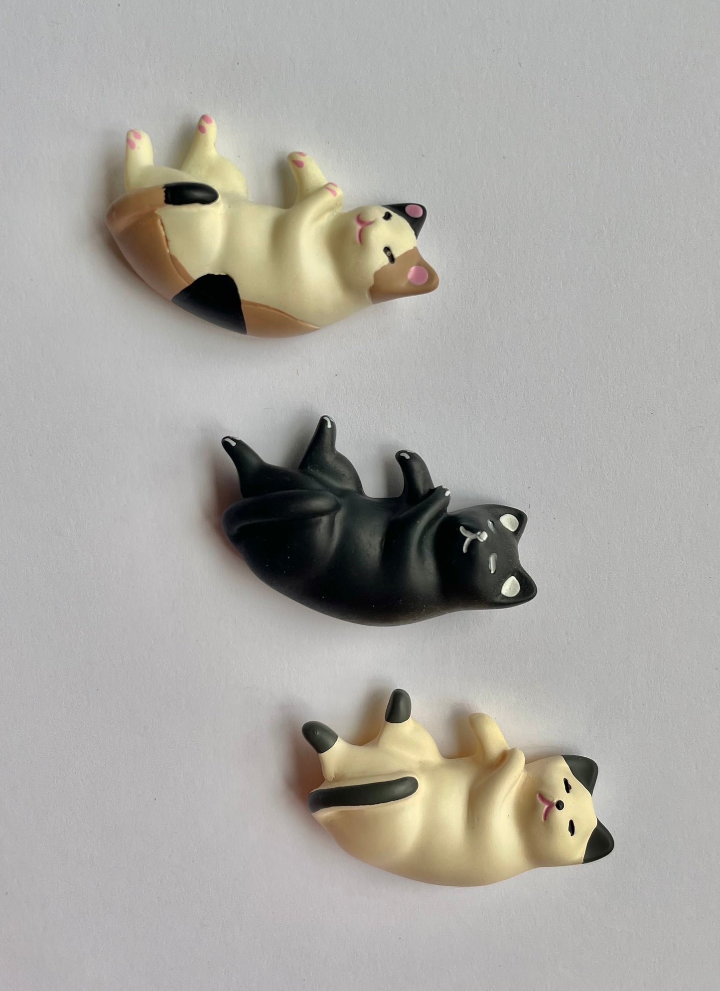 Cat Nap Magnets