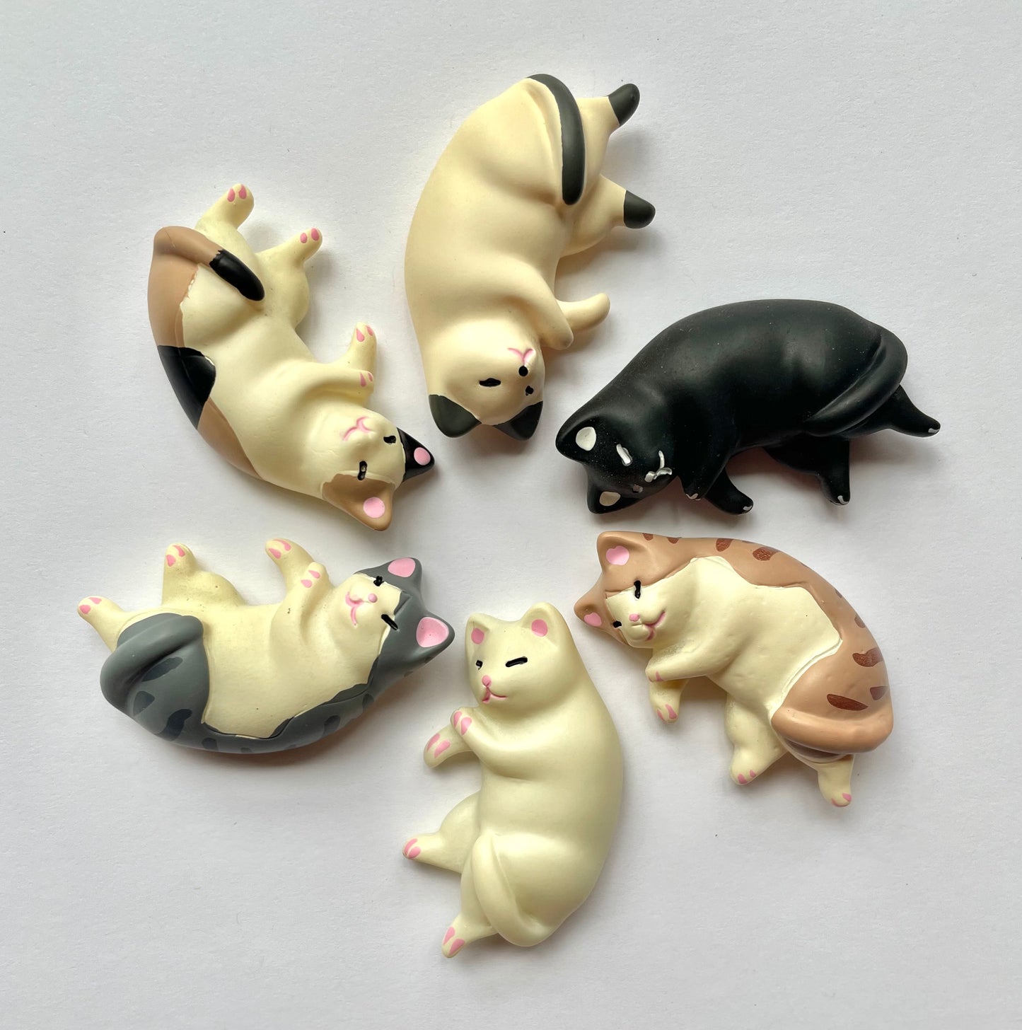 Cat Nap Magnets