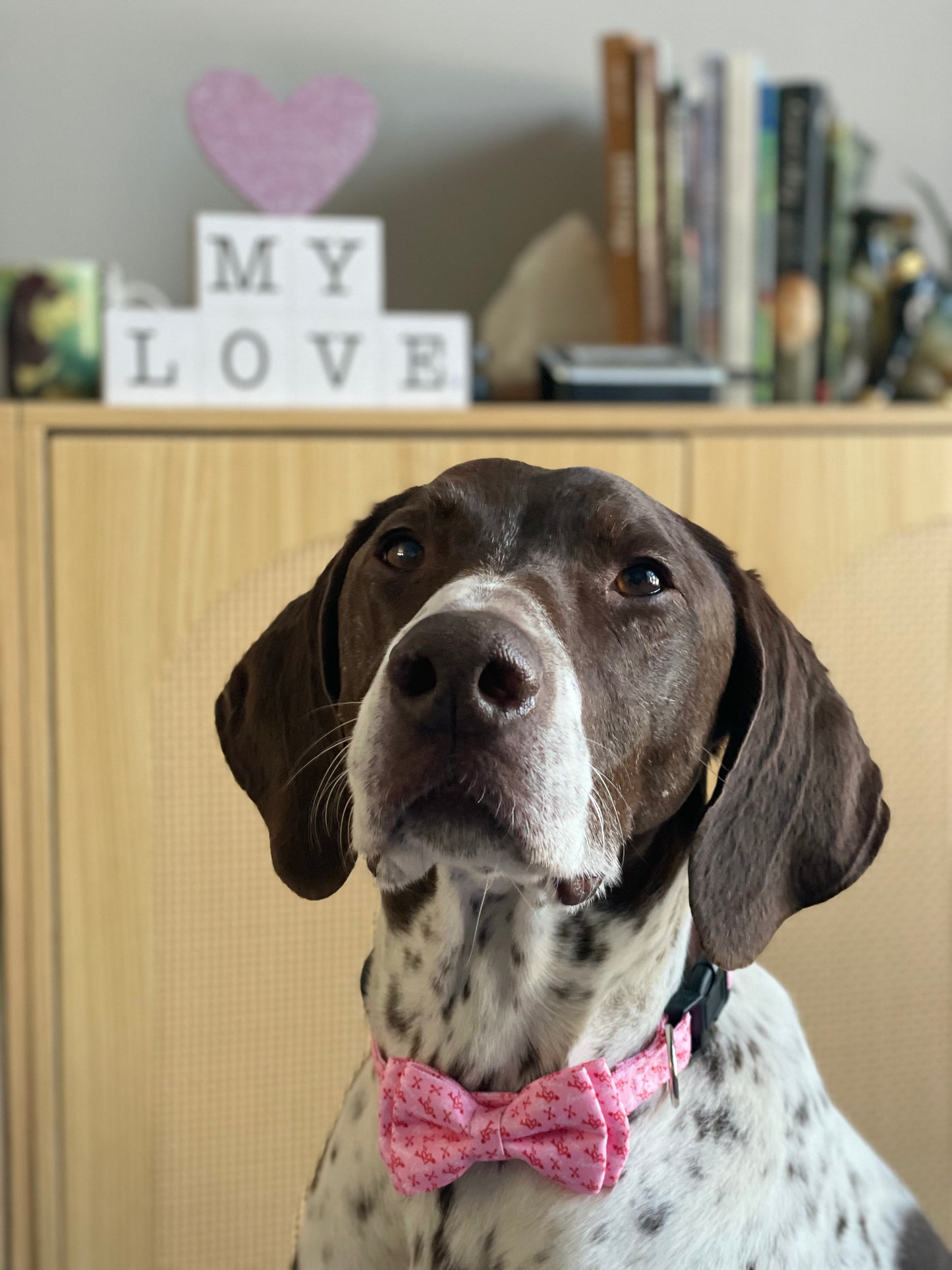 Lovestruck Collar