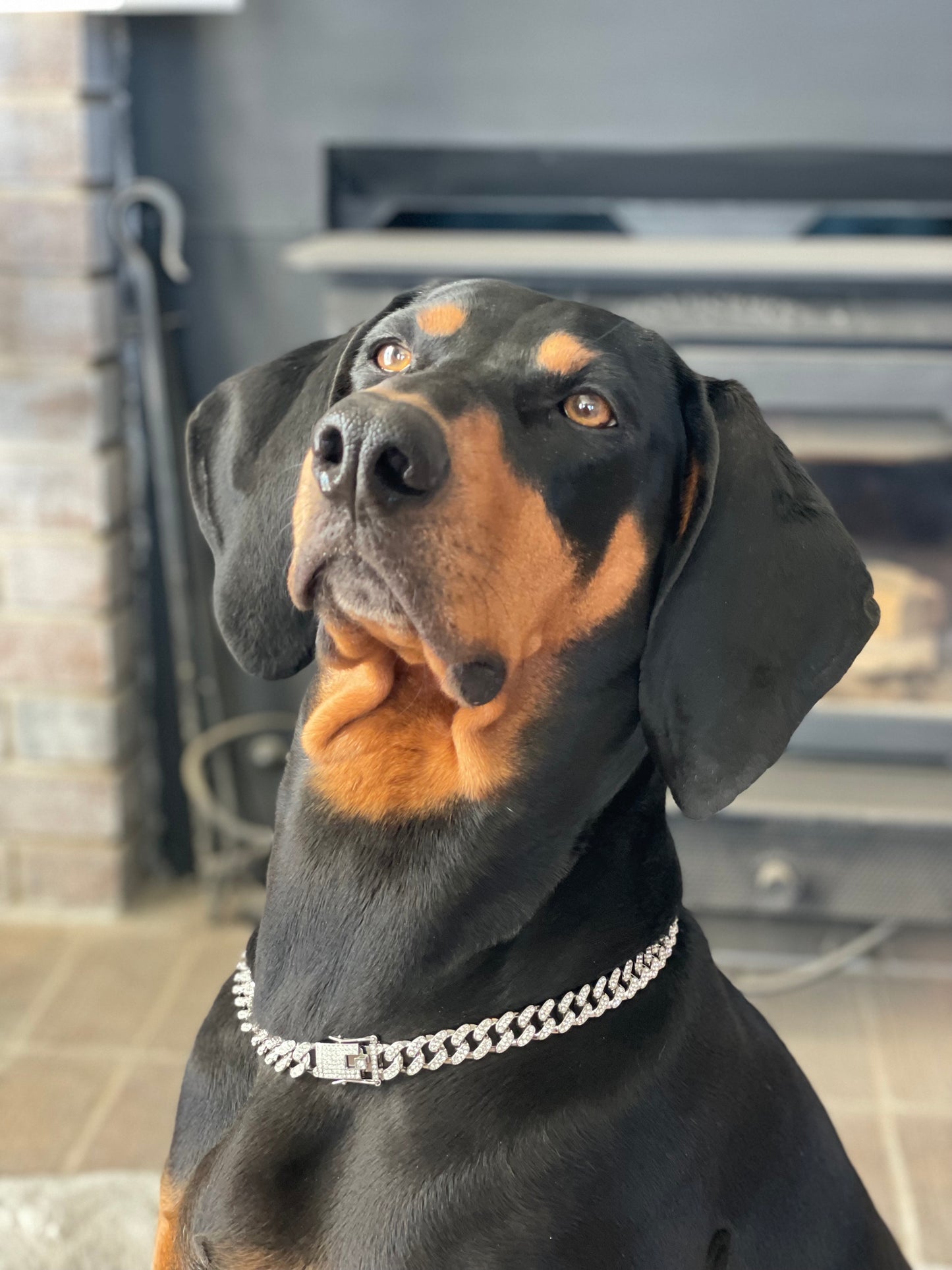 Diamond Dog Chains