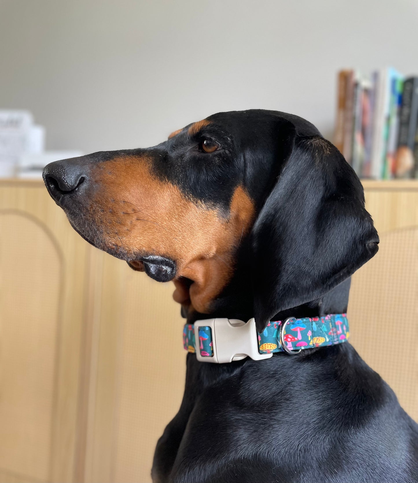 Majestic Mushroom Collar