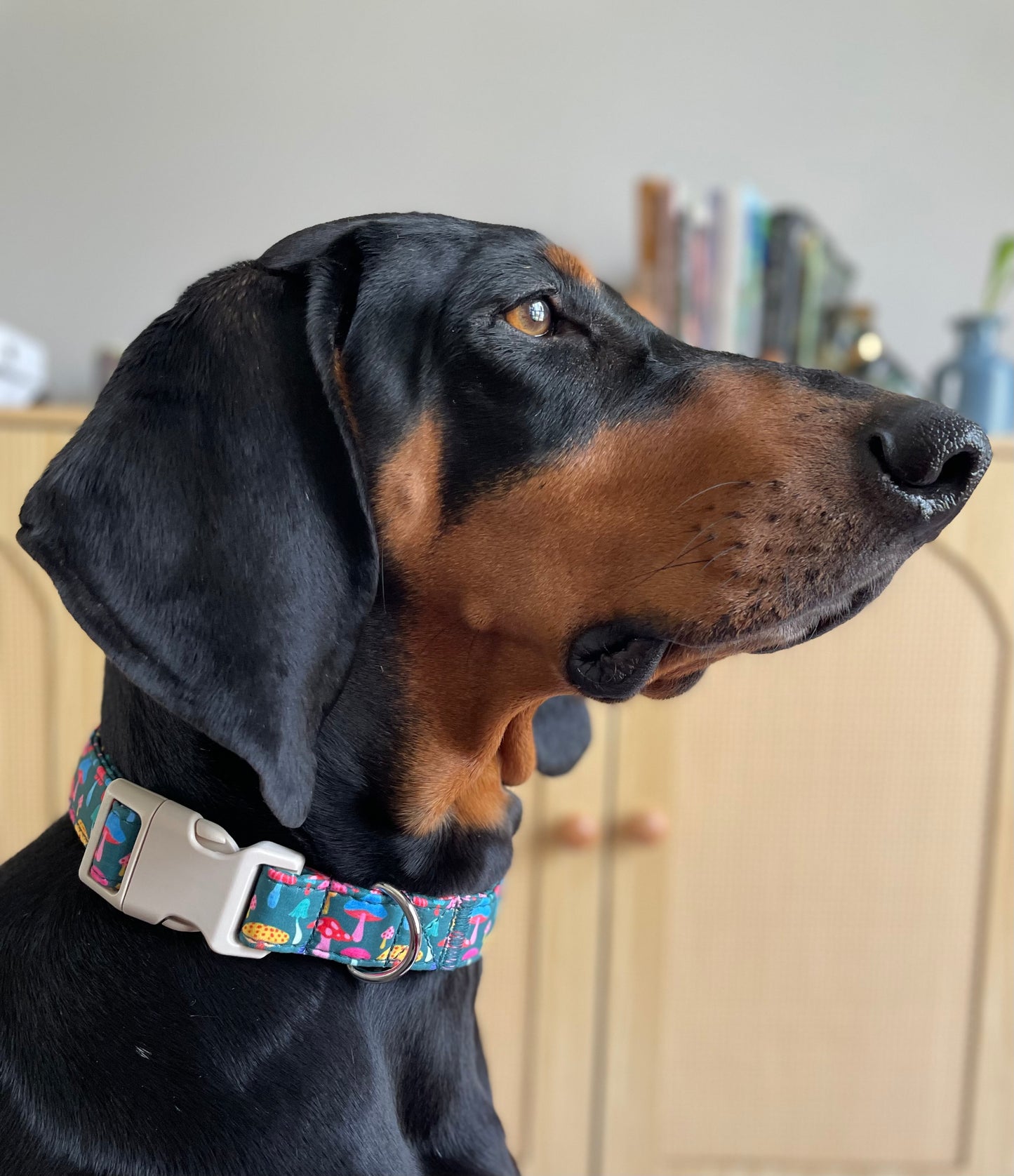 Majestic Mushroom Collar