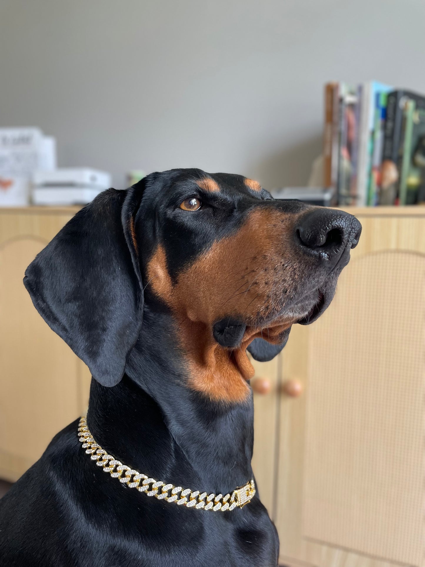 Diamond Dog Chains