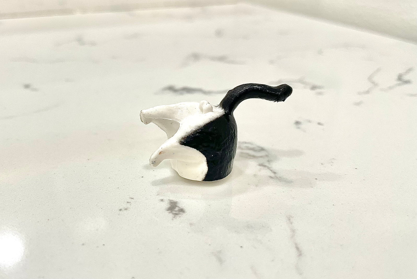 Kitty Butt Magnets