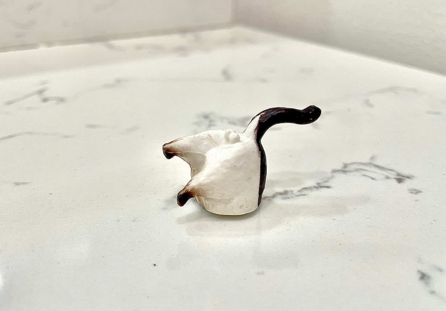 Kitty Butt Magnets