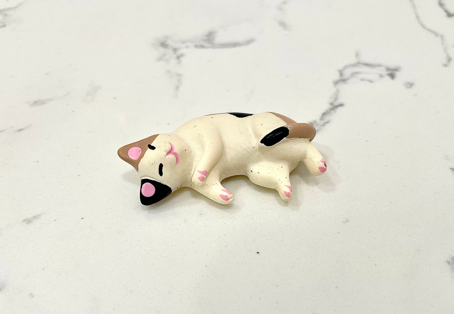 Cat Nap Magnets