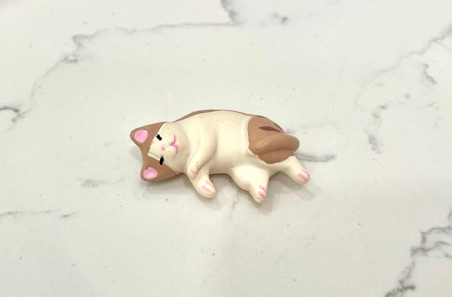 Cat Nap Magnets