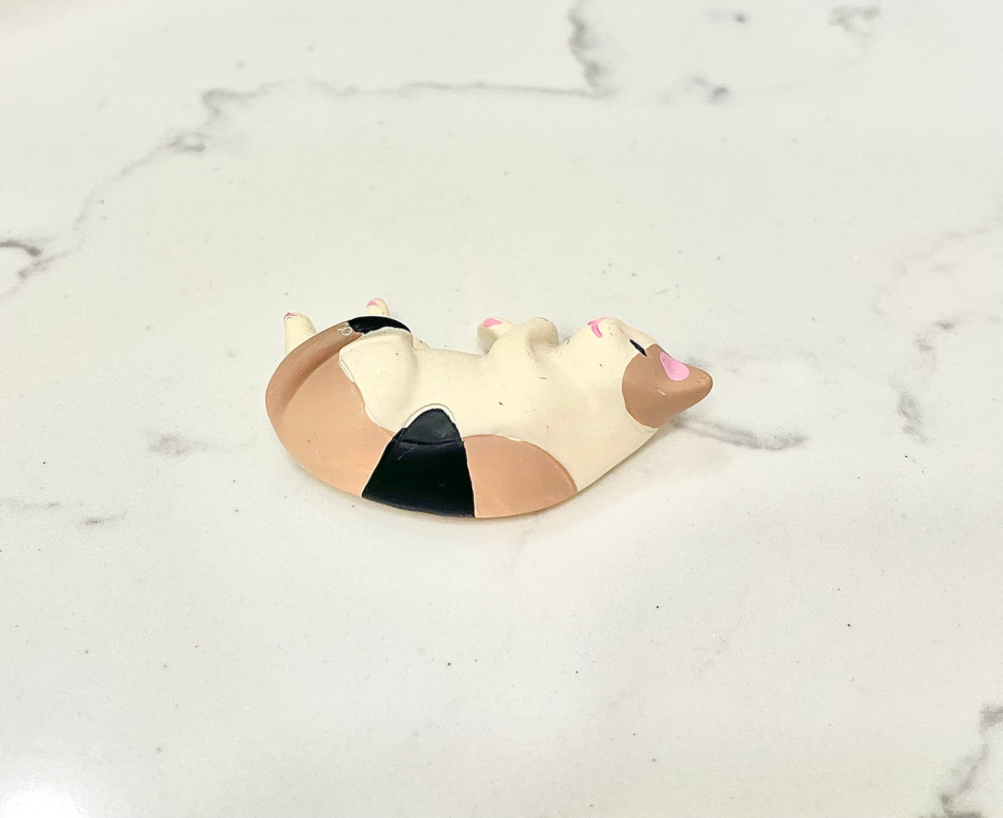 Cat Nap Magnets