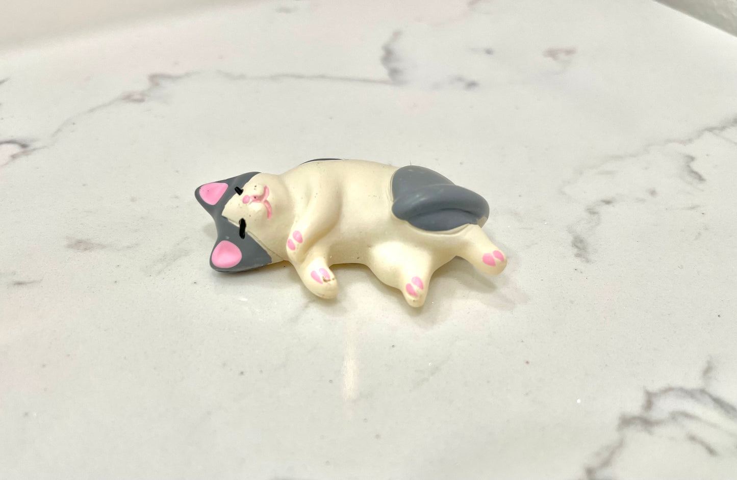 Cat Nap Magnets