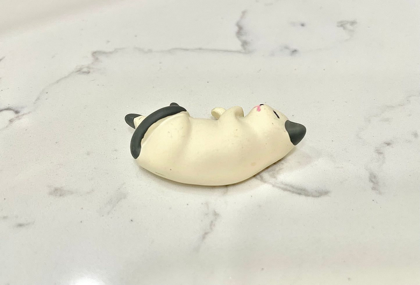 Cat Nap Magnets