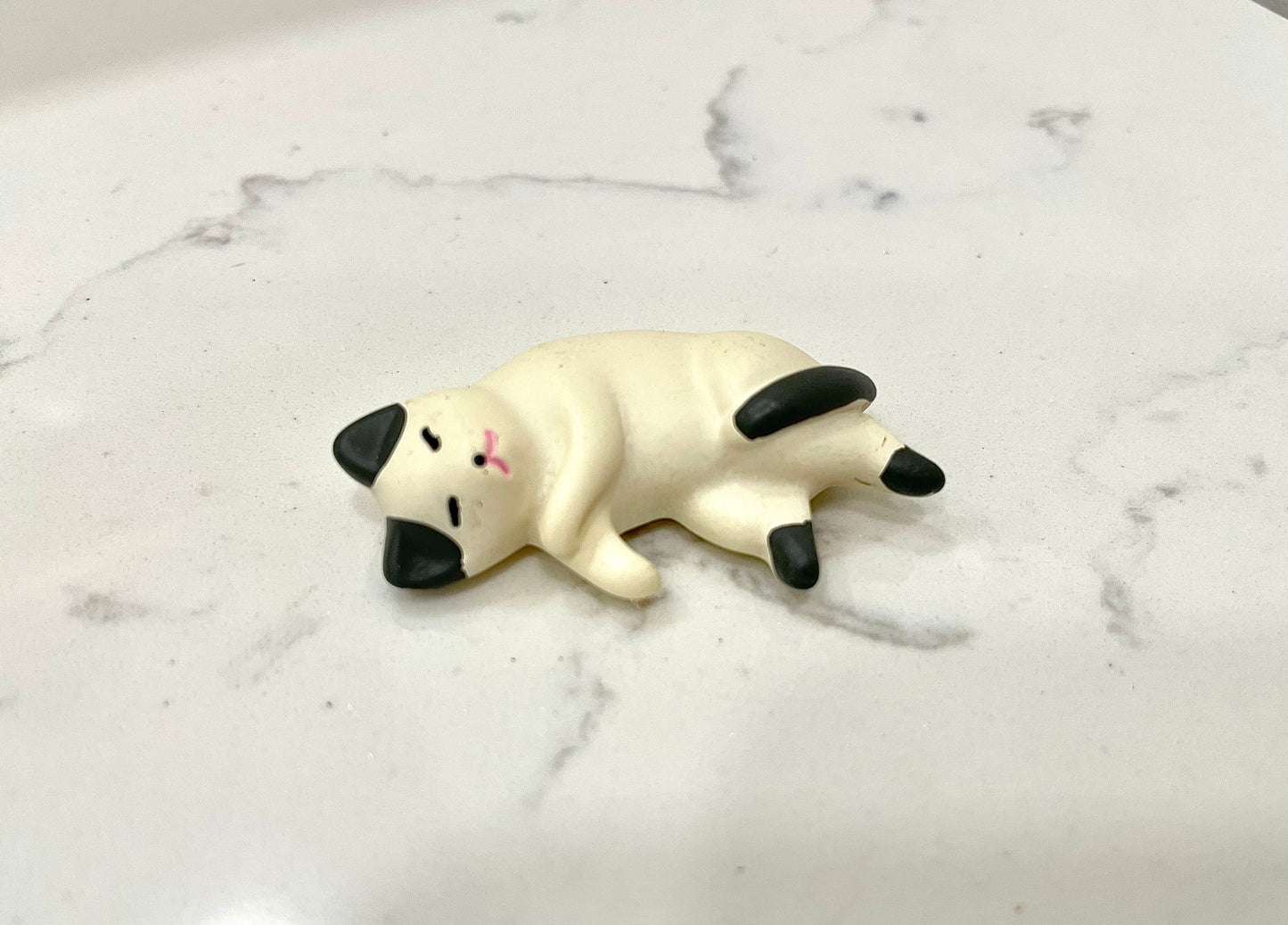 Cat Nap Magnets