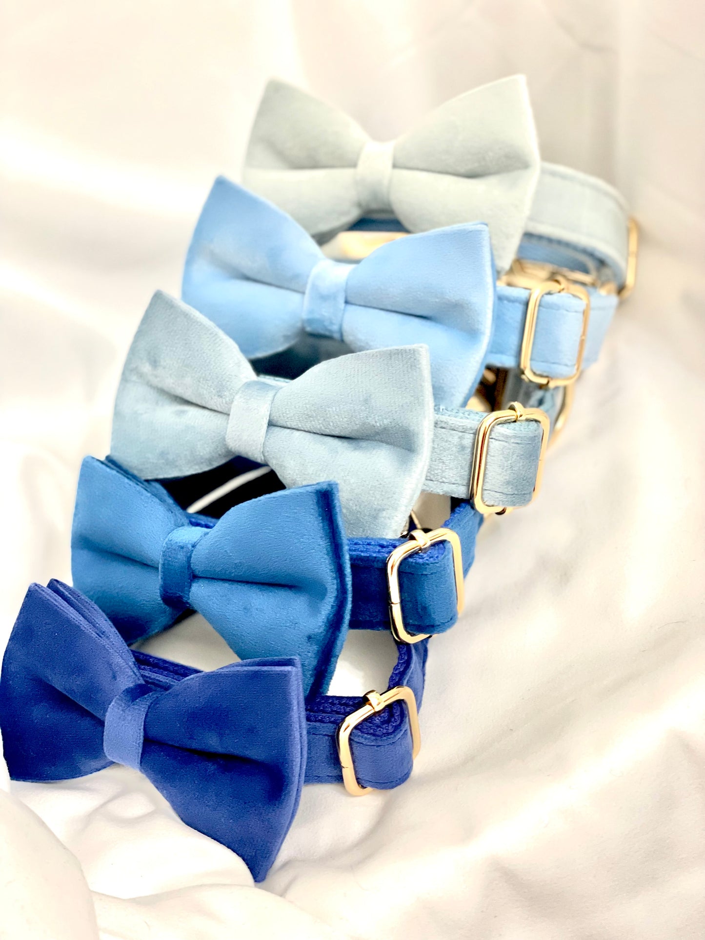 Shade of Blue - Velvet Collection