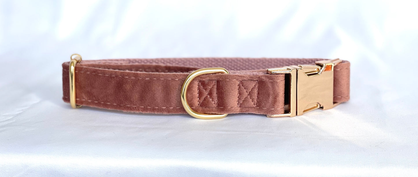 Furry & Refined - Velvet Collection