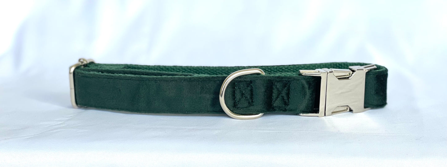 Furry & Refined - Velvet Collection
